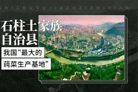 石柱土家族自治县——我国“最大的莼菜生产基地”视频封面