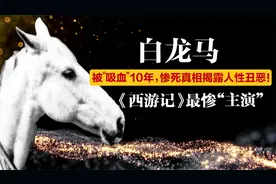 白龙马被“吸血”10年，却尸骨无存，惨死真相揭露人性丑恶!视频封面