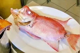 香港打冷，不一定食鹅，试下海鲜组合：鱼饭、卤墨鱼