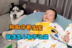狗狗像门神一样守护着小宝宝，龇着牙谁都不准靠近，当成自己娃了视频封面