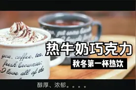 【热牛奶巧克力】材料和做法都超级简单！秋冬的第一杯热饮！视频封面