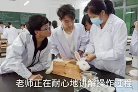 广大医学生的通病，讨厌上理论课，非常喜欢上兔子解剖实验课视频封面