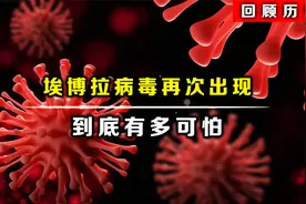 刚果埃博拉病毒再次出现，到底有多可怕视频封面