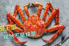 今天才知道，帝王蟹居然不是螃蟹，难怪只有6只脚2只蟹钳，涨知识视频封面