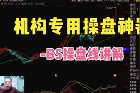 机构专用操盘神奇-BS操盘线介绍（初级）视频封面