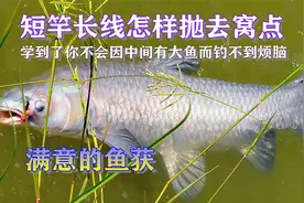 短竿长线怎样抛到窝点，学到了，再也不会因中间有大鱼钓不到烦恼