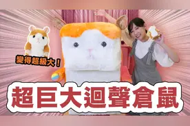 我做了超巨大迴声仓鼠！仓鼠四週年企划！_ 安啾 (ゝ∀･) ♡