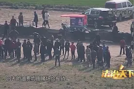 法治：农村惊现神秘游戏，竟吸引全国各地人员，每天流水达几十万视频封面