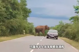 一点都不懂我视频封面