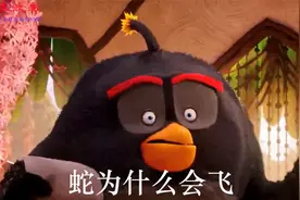 《脑筋急转弯》请问蛇为什么会飞呢视频封面