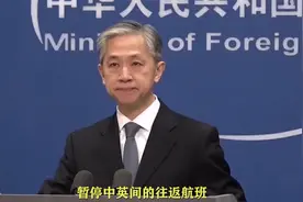 刚刚！外交部宣布：中方暂停中英往返航班视频封面