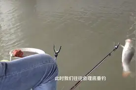 垂钓过程中有很多意外，资深老钓家教你4招应对，助你鱼获丰厚！视频封面