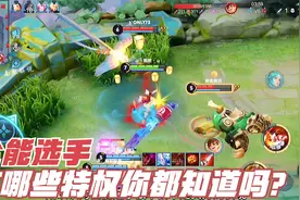 全能选手是高手还是菜鸟，全能称号有什么特权，你都知道吗视频封面