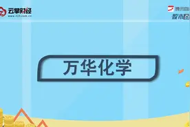 万华化学[600309]视频封面