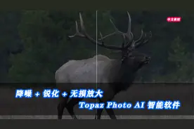 超AI智能软件 Topaz Photo AI 一键降噪 锐化 无损放大 中文教程
