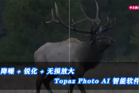 超AI智能软件 Topaz Photo AI 一键降噪 锐化 无损放大 中文教程