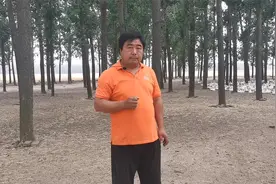 发现散养鸡啄蛋，该怎么纠正？老张给出一个小妙招！视频封面