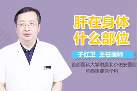 肝在身体什么部位？