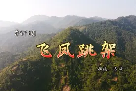 广东信宜扶龙氏名地，名人陈龙启祖地飞凤跳架