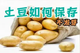 才清楚，保存土豆方法这么简单，不发芽不发青，久放也不坏，学学视频封面