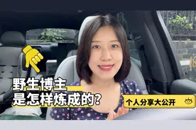 真实分享，一个电动野生博主的成长故事