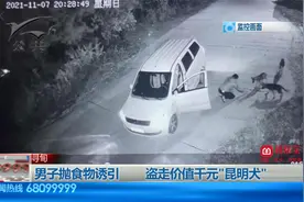 寻甸 | 驾商务车诱引盗窃昆明犬 民警五小时寻回被盗犬只视频封面