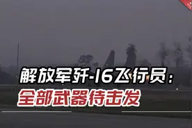 解放军歼-16飞行员：驱离外机时绝对主动，全部武器待击发视频封面