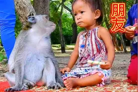 小猴子很喜欢粘着小女孩，太有灵性了，还会有爱的照顾小女孩