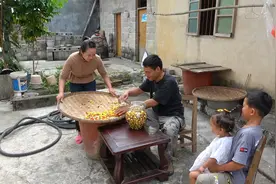 阿琪用这种方法泡制七彩椒，不加酱油不加水，表皮光滑香脆可口视频封面
