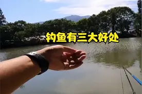 为什么劝你学钓鱼？其实钓鱼有三大好处，最后一个大家都想拥有