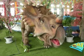 一路向北：在大庆泡温泉，独特的地理环境，让冬天不再寒冷视频封面