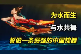 “水下飞天”何灏浩：为水而生，与水共舞！誓做一条倔强中国锦鲤