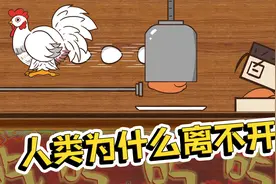 人类为什么离不开鸡？因为口水流的太多视频封面
