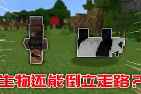 我的世界：生物原来可以倒着走路？命名牌不为人知的作用！