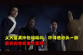 义犬显灵冲包拯吼叫，吓得他心头一颤，原来此地有重大冤情！视频封面