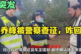 广西古颠乐-乔峰的面包车太抢眼，惊动警察到甘蔗地查车，咋回事视频封面
