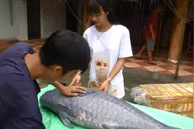 乡村小伙伴网定了条深海60斤的大鱼，用土办法泡制香飘村里