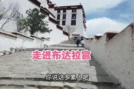一直以为布达拉宫要门票，原来预约完后可以不买门票进入布达拉宫视频封面
