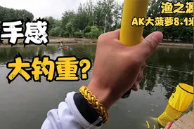 渔之源AK大菠萝8.1米鱼竿测评！腰力强劲面对大物也能游刃有余？视频封面