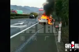 开车分神看飞鸟 结果撞车起火了视频封面