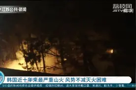 韩国山林大火持续蔓延，系近十年来最严重山火，风势不减灭火困难视频封面