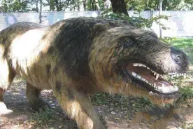 七种神秘生物盘点，中国神农架的狼，被怀疑是史前动物