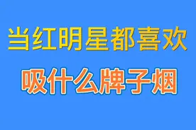 当红明星都喜欢吸什么牌子烟视频封面