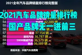 2021全年汽车品牌销量排行榜，比亚迪勉强进前十，吉利才排第4视频封面