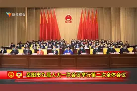 岳阳市九届人大一次会议举行第二次全体会议视频封面