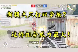 和平精英：团队竞技的枪械咋选？新手才选双步枪！大神都这样选！