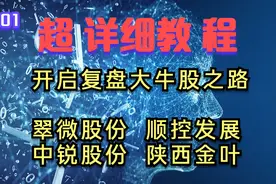 复盘2021年大牛股 终于悟出几点 保姆级别分享 翠微股份 顺控发展