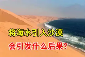 中国13%都是沙漠，能引海水过去吗？看中东国家的后果就明白了