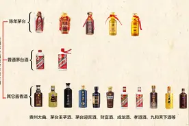 茅台酒家族成员分类汇总！你到底分清楚了没有？视频封面