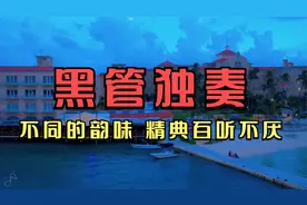 【黑管独奏】不同的韵味，同样的好听，精典百听不厌